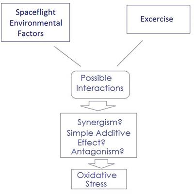 Commentary: Introduction to the Frontiers Research Topic: Optimization of Exercise Countermeasures for Human Space Flight–Lessons From Terrestrial Physiology and Operational Considerations